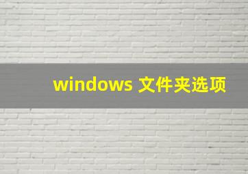 windows 文件夹选项